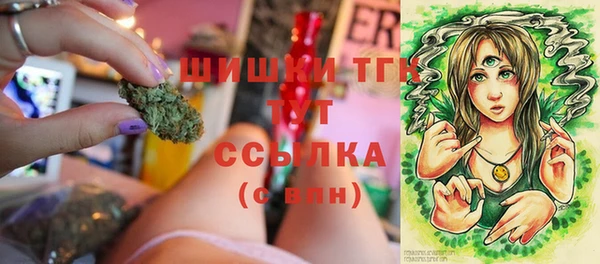 ECSTASY Инсар