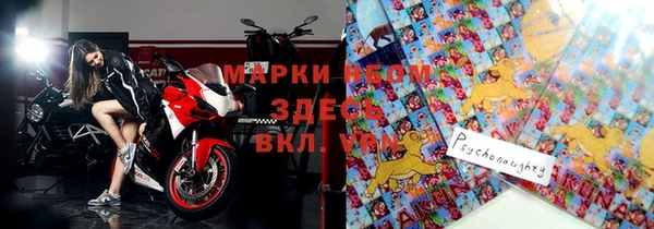 ECSTASY Инсар