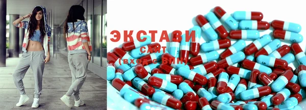 ECSTASY Инсар