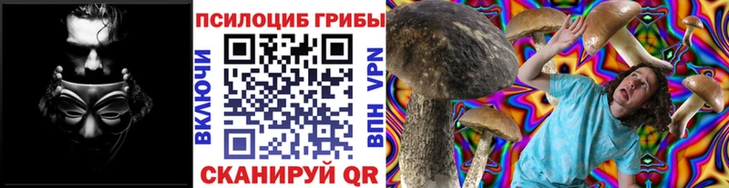 Псилоцибиновые грибы Psilocybe  наркошоп  Липки 